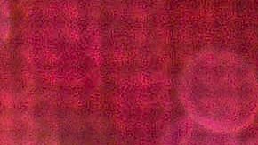 Chiquis Rivera, cantante de regional mexicano e hija de Jenni Rivera, en Ciudad de México.