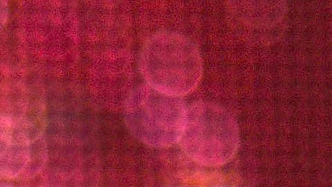 Chiquis Rivera, cantante de regional mexicano e hija de Jenni Rivera, en Ciudad de México.