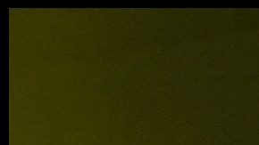 Chiquis Rivera y Olga Tañón, cantantes latinas.