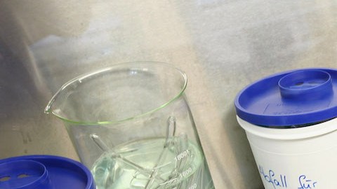 En la actualidad se producen unos 100 casos de estas infecciones al año en EE.UU. / Foto: Getty Images