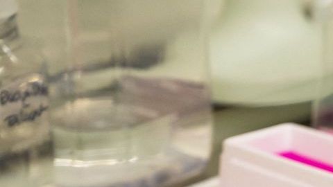 Científicos entrenan células cancerosas para convertirlas en armas contra el cáncer