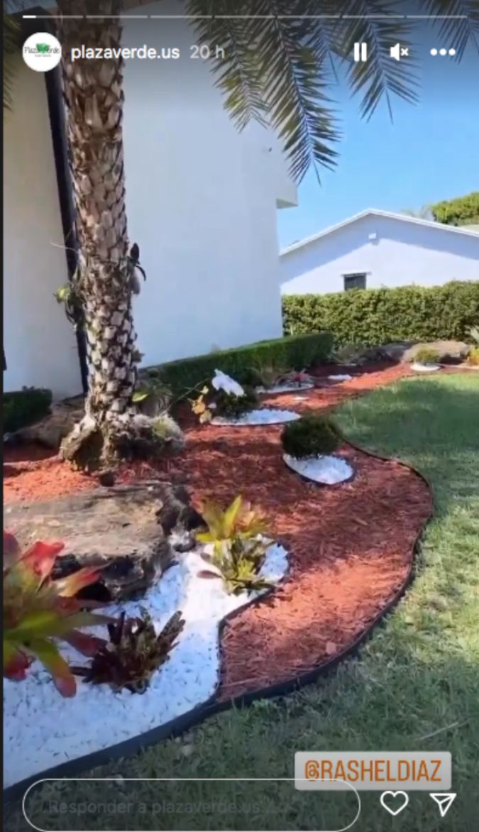 Así quedaron decorados los alrededores de su impresionante palmera (Plaza Verde/Instagram)