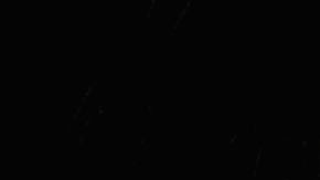 descubren en Australia una nueva especie de araña "gigante"