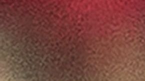 Miguel Herrera durante un partido de Xolos de Tijuana.