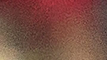 Miguel Herrera durante un partido de Xolos de Tijuana.