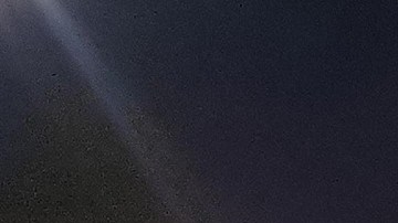 Policía de Guanajuato