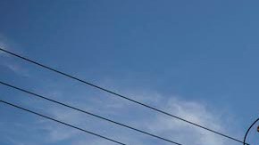 Elefantes usados en la industria del turismo