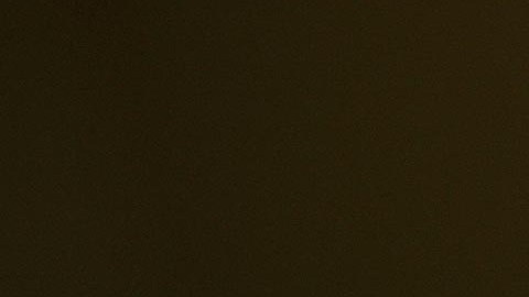 El objetivo de la familia Loggervale era que juzgaran a los oficiales abusivos