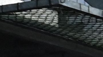 Fanaticada del Crystal Palace.