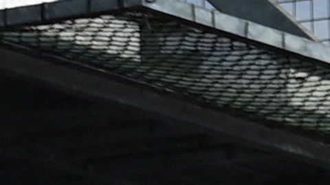 Fanaticada del Crystal Palace.