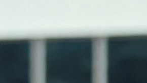 Fanaticada del Philadelphia Union.