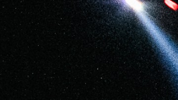 Fanáticos de los Dodgers celebrando.