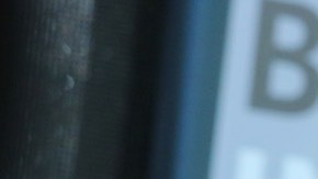 El físico teórico Avi Loeb. / Foto: Getty Images