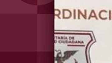 Arresto de Ofelia Hernández Salas
