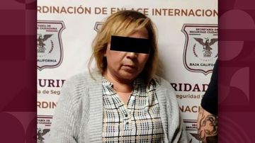 Arresto de Ofelia Hernández Salas