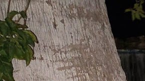 narcomensaje en Sonora