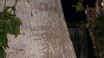 narcomensaje en Sonora