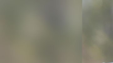 Fuerza de Reacción Zacatecas