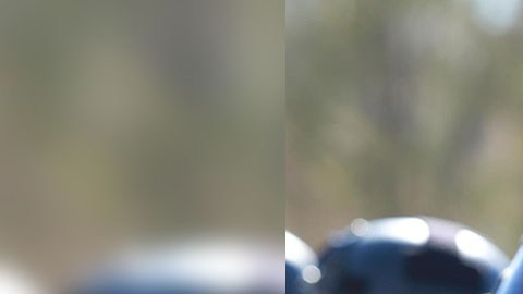 Fuerza de Reacción Zacatecas