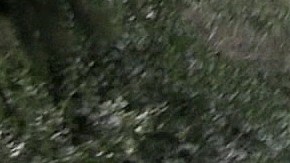 Gerard Piqué y su novia Clara Chía Martín paseando por Barcelona.