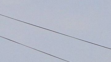 Ebrio mató a golpes a su hijo en México en un ataque de furia tras pedirle que dejara de beber