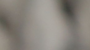 La aplicación CBP One impide a familias inmigrantes aplicar para citas de asilo en bloque.