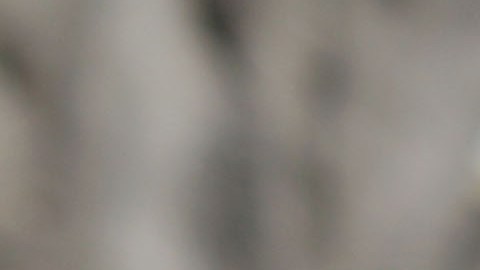 La aplicación CBP One impide a familias inmigrantes aplicar para citas de asilo en bloque.