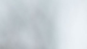 Los maestros de LOs Ángeles hicieron una huelga en 2019 y casi paralizaron las escuelas.