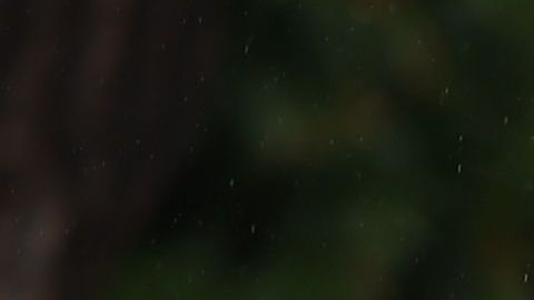 Students pose for a snapshot after walking the picket line with their teachers and parents on the third day of the teachers' strike, January 16, 2019, outside Dahlia Heights Elementary School in the Eagle Rock section of Los Angeles, California. - Teachers of the Los Angeles Unified School District (LAUSD), the second largest public school district in the United States, are striking for smaller class size, better school funding and higher teacher pay. (Photo by Robyn Beck / AFP) (Photo credit should read ROBYN BECK/AFP via Getty Images)