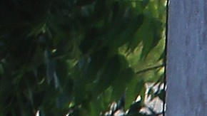 En alerta máxima por fuertes tormentas y tornados en sur y sureste de EE.UU.