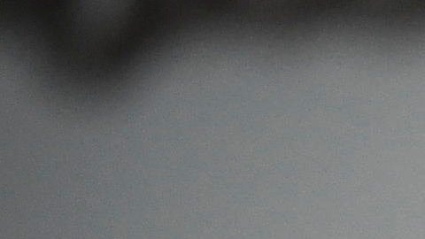 Osorio viene de dirigir en Colombia.