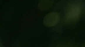 Donald Trump acusa a Joe Biden de estar implicado en la investigación en su contra para ser detenido