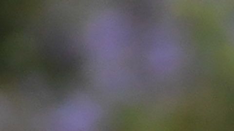 Las autoridades de Los Ángeles desplegaron fuerzas de la Guardia Nacional para reprimir las protestas en 2020.