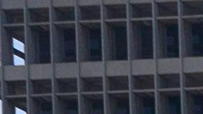A man and woman wearing facemasks walk dogs in Grand Park with Los Angeles City Hall seen in the background, June 24, 2020 in Los Angeles, California during the coronavirus pandemic. - For the second consecutive day, California shattered daily records for new COVID-19 cases, yesterday with more than 6,600 infections reported, the largest single-day count in California since the pandemic hit. US Rep.Adam Schiff (D-Burbank) today introduced legislation to provide free cloth face coverings via United States mail to any American who requests one, as well as authorize further research into mask efficacy to reduce the spread of COVID-19, as many Americans continue to resist the call to wear face coverings in public. (Photo by Robyn Beck / AFP) (Photo by ROBYN BECK/AFP via Getty Images)