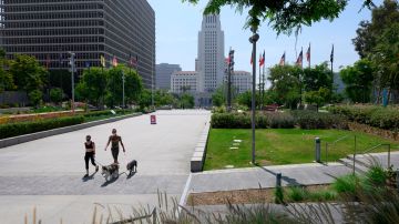 A man and woman wearing facemasks walk dogs in Grand Park with Los Angeles City Hall seen in the background, June 24, 2020 in Los Angeles, California during the coronavirus pandemic. - For the second consecutive day, California shattered daily records for new COVID-19 cases, yesterday with more than 6,600 infections reported, the largest single-day count in California since the pandemic hit. US Rep.Adam Schiff (D-Burbank) today introduced legislation to provide free cloth face coverings via United States mail to any American who requests one, as well as authorize further research into mask efficacy to reduce the spread of COVID-19, as many Americans continue to resist the call to wear face coverings in public. (Photo by Robyn Beck / AFP) (Photo by ROBYN BECK/AFP via Getty Images)