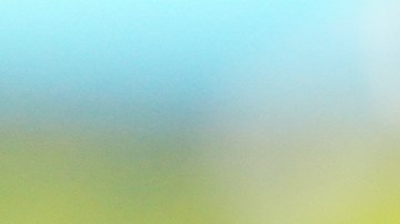 Gobernador de Georgia declara estado de emergencia tras el impacto de tornados y tormentas