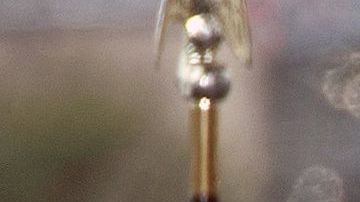 Donald Trump habló a sus seguidores desde The Ellipse cerca de la Casa Blanca el 6 de enero de 2021.