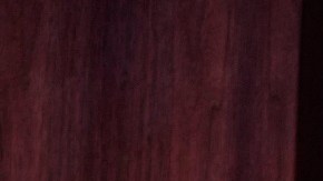 General de la Fuerza Aérea, Glen VanHerck, comandante del Comando Norte de Estados Unidos.