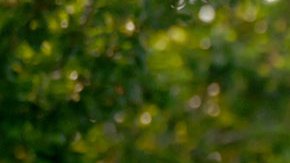 México establece grupo de inteligencia en busca de los 4 estadounidenses secuestrados en Tamaulipas