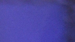 Brock Lesnar, luchador de wrestling y retirado de las MMA.