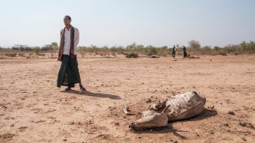 ONU augura "riesgo inminente de crisis mundial del agua"
