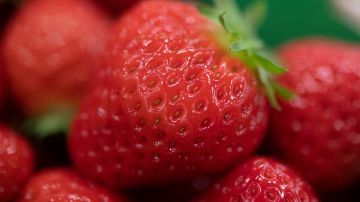 Retiran fresas orgánicas congeladas del mercado por posible vínculo con el brote de hepatitis A