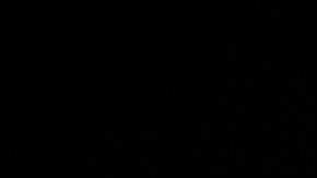 Tres migrantes venezolanos, entre ellos una mujer, murieron atropellados al sur de México