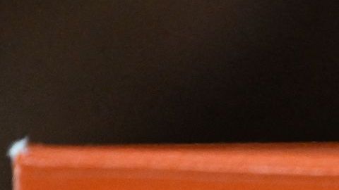 Wyoming convirtió en ley prohibición de abortos con medicamentos.