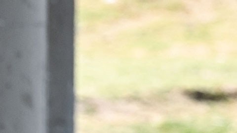Migrantes en México