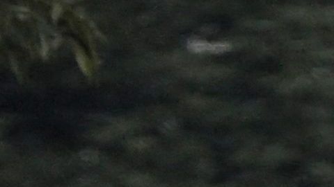 Mueren dos niños tras consumir yogurt contaminado en México