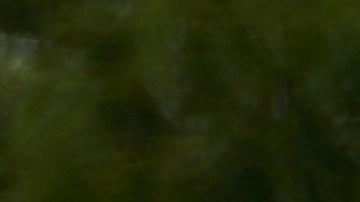 LOS ANGELES, CA - SEPTEMBER 22: A 'for sale' sign is displayed outside a single family home on September 22, 2022 in Los Angeles, California. The U.S. housing market is seeing a slow down in home sales due to the Federal Reserve raising mortgage interest rates to help fight inflation. (Photo by Allison Dinner/Getty Images)