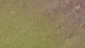 Planean traslado de 60 hipopótamos que pertenecían a Pablo Escobar a zoológicos de México