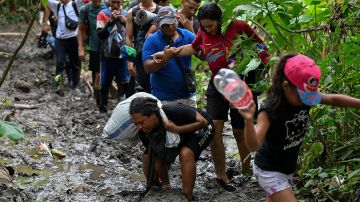 Cifra récord: casi 80,000 migrantes cruzaron la selva del Darién en 2023