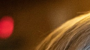 Los senadores republicanos Lindsey Graham y Tom Cotton, y el representante Dan Crenshaw.